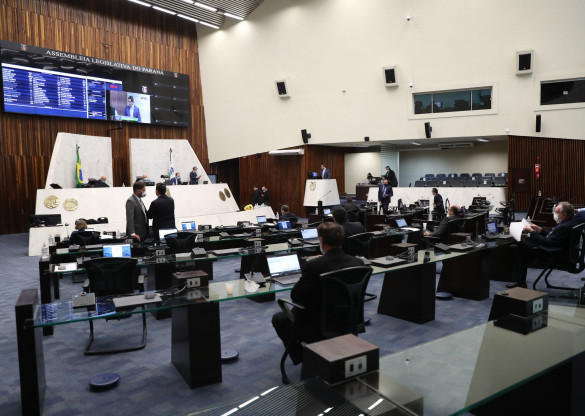 Assembleia aprova que 40% dos alimentos comprados pelo Governo sejam da agricultura familiar