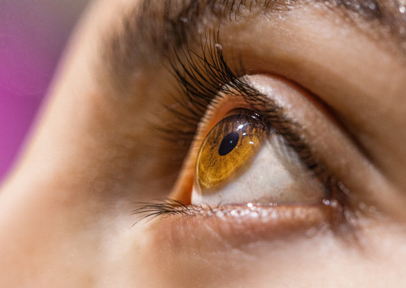 Isolamento social também trouxe consequências para a saúde dos olhos