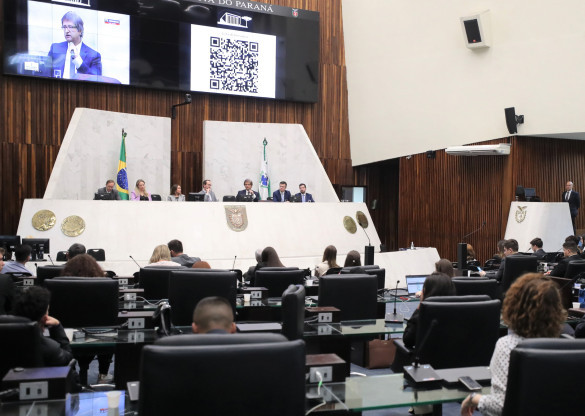 O Legislativo e o controle de constitucionalidade foram tema de palestra para os participantes do Parlamento Universitário
