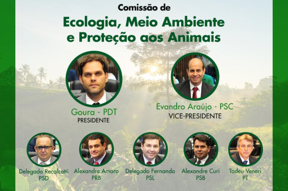Comissão que trata do meio ambiente quer participação da sociedade civil na solução de problemas