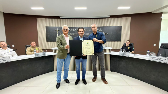 Deputado Luiz Fernando Guerra (Novo) recebe título de Cidadão Honorário de Palmas