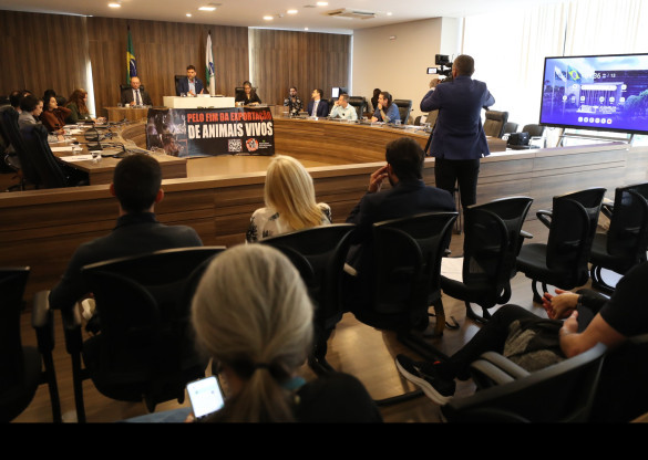 Proibição da exportação de animais vivos por navios é tema de Audiência Pública na Assembleia Legislativa