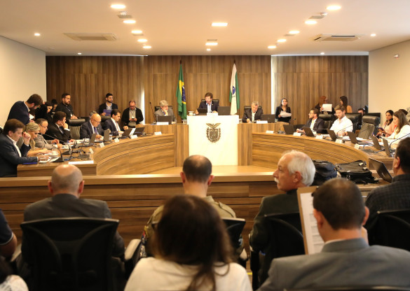 CCJ inicia discussão de projeto de lei que permite desestatização da Celepar