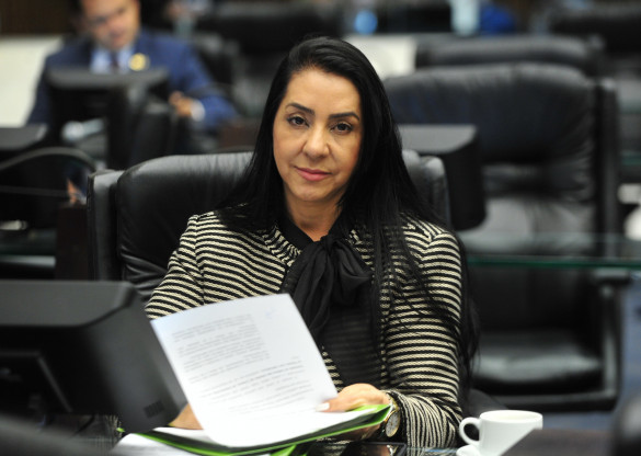 Comissão da Assembleia Legislativa destaca atuação no ano de 2020 na defesa dos direitos da mulher