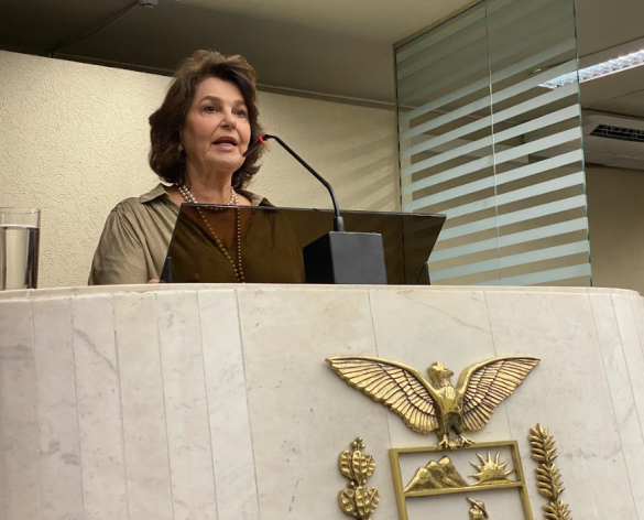 Deputada Cristina Silvestri (PP) lamenta novo acidente na BR-277 e reforça pedido de duplicação da Serra da Esperança