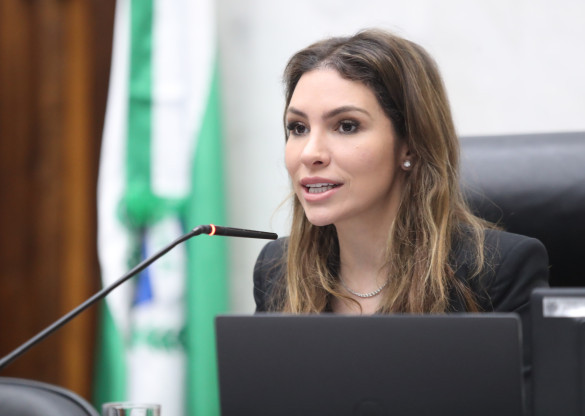 Deputada Maria Victoria (PP) ressalta importância de projeto de lei que usa IA para prevenir desastres climáticos