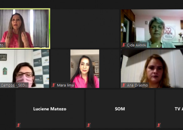 “Pandemia não pode ser empecilho para prevenção ao câncer de mama”, afirmam participantes de audiência sobre o Outubro Rosa