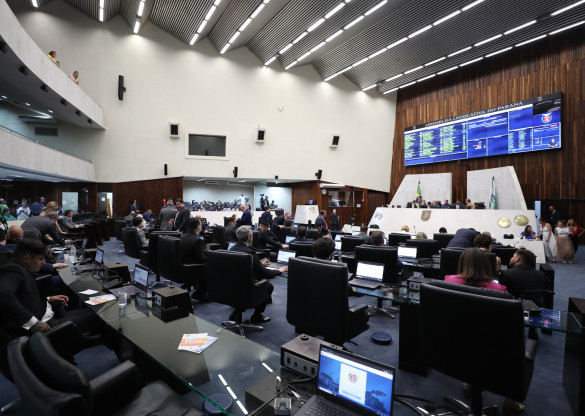 Deputados aprovam projeto que institui o Programa Mãos Amigas