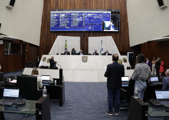 Apadrinhamento de espaços públicos é aprovado na Assembleia