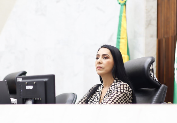 Condenados por feminicídio, estupro e pedofilia serão proibidos de receber visita íntima em presídios do Paraná, propõe deputada Cantora Mara Lima (REP)
