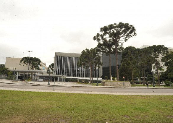 Assembleia vota redação final do projeto que cobra de agressores custo do tratamento de animais agredidos