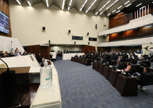 Ações para conter a transmissão do novo coronavírus dominam debate na Assembleia