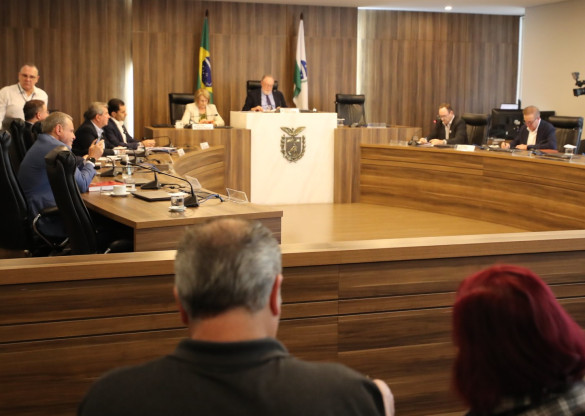 Reunião debate eficácia e obrigatoriedade da vacinação contra Covid-19 para crianças