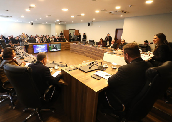Frente Parlamentar recebe diagnósticos e ações para ampliar vagas para crianças de 0 a 3 anos no Paraná