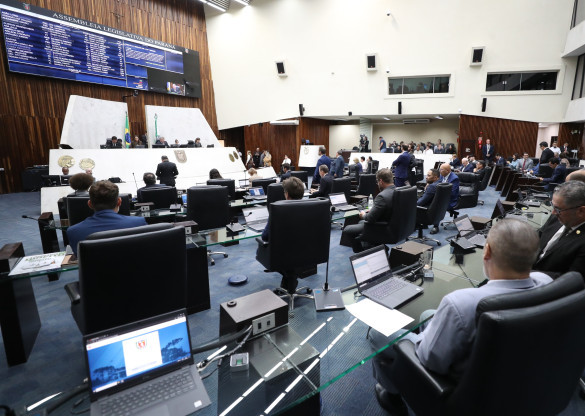 Assembleia aprova proposta que destina madeira de obras para reconstrução de cidades atingidas por desastres