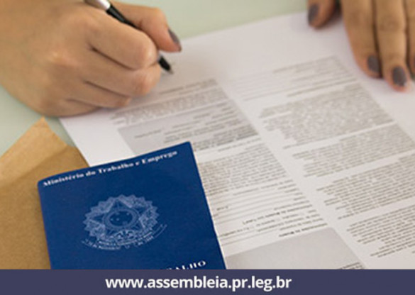 Lei da Assembleia visa a qualificação de mulheres vítimas de violência