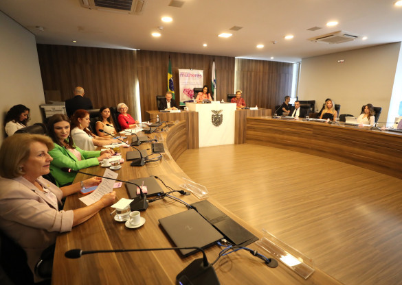 Audiência Pública alusiva ao Dia Internacional da Mulher debate Política, Comunicação, Negócios e Justiça