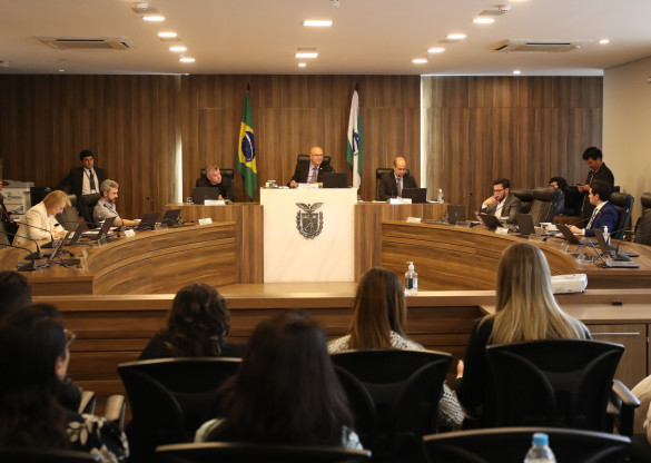 Lei Orçamentária Anual 2024 e Plano Plurianual 2024/2027 são aprovados na Comissão de Orçamento
