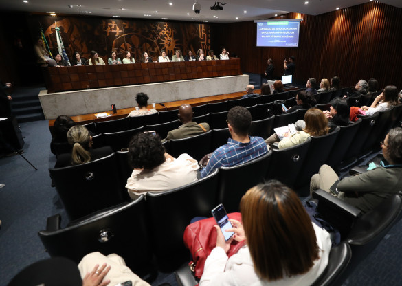 Assembleia Legislativa debate ampliação da advocacia dativa para proteger mulheres vítimas de violência