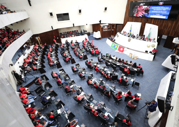 Audiência pública na Assembleia Legislativa recebe as reivindicações do “Movimento Sem Terrinha do Paraná”