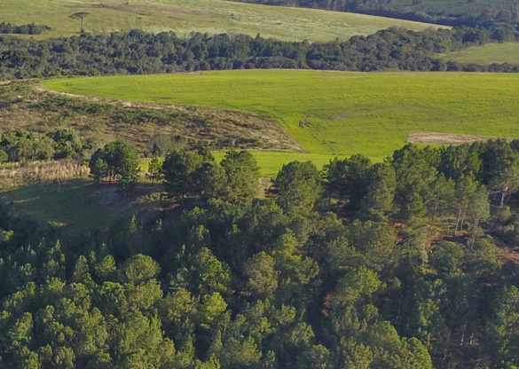 Ações de proteção ao meio ambiente serão apresentadas durante o Grande Expediente da sessão plenária desta terça
