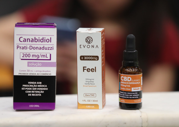 Proposta que assegura medicamentos à base de cannabis sativa é aprovada na Assembleia
