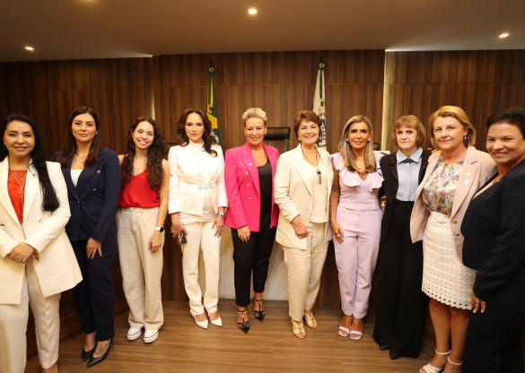 Lei garante área específica de internação para mães de bebês natimortos