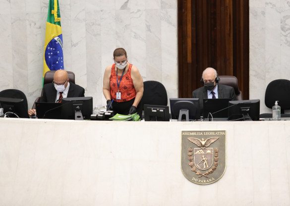 Assembleia vai contribuir na manutenção da Tarifa Rural Noturna