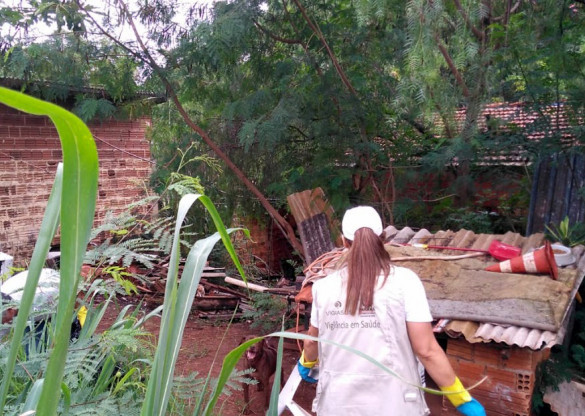 Governo sanciona projeto que estabelece medidas de combate à dengue