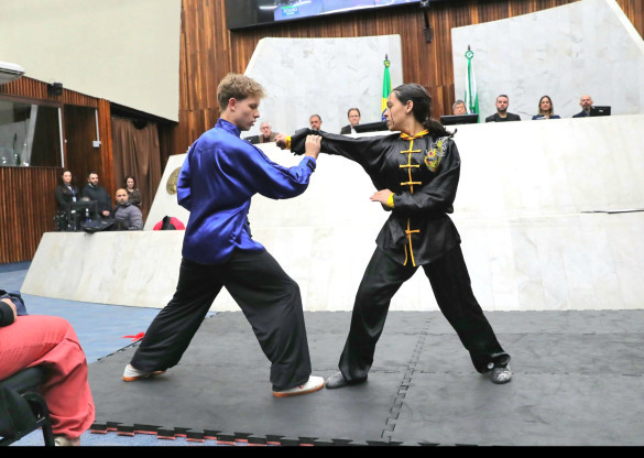 Assembleia realiza 2ª homenagem aos mestres, atletas e gestores que difundem o kung fu no Paraná