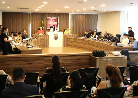 O fim da violência contra as mulheres é debatido em Audiência Pública na Assembleia Legislativa