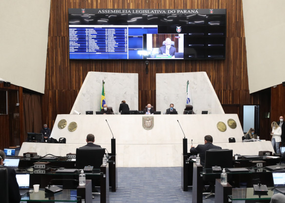 Proposta de distribuição de absorventes garante dignidade às mulheres