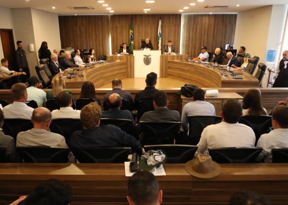 Audiência pública da Assembleia Legislativa debate futuro dos criadores de tilápia no Paraná