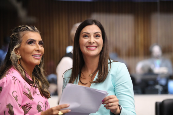 Em homenagem ao Dia Internacional da Mulher, sessão especial da CCJ será comandada por deputadas