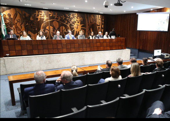 Assembleia Legislativa debate em audiência pública formas de cuidados e prevenção à cegueira
