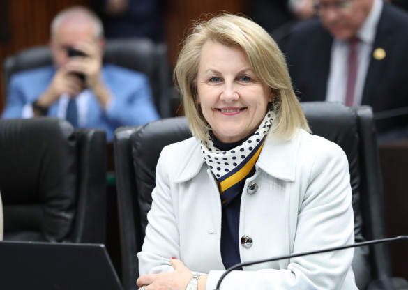 Deputada Márcia Huçulak (PSD) apresenta projeto de lei para reforçar proteção contra violência a crianças e adolescentes