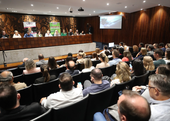 Com aumento de 1.381% no número de casos, audiência debate cenário “apavorante” da dengue no Paraná