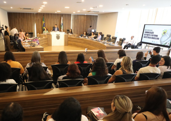 Assembleia Legislativa promove audiência pública sobre violência obstétrica e debate modernização do atendimento à mulher