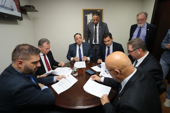 Comissão de Educação realiza a 1ª reunião da 20ª Legislatura
