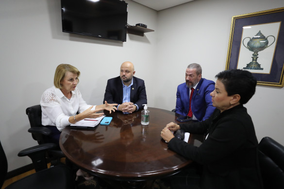 Comissão pretende debater novo Estatuto da Metrópole a ser implantado no estado