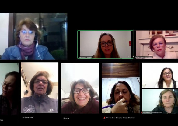 Procuradoria da Mulher da Assembleia realiza reunião online com procuradoras municipais