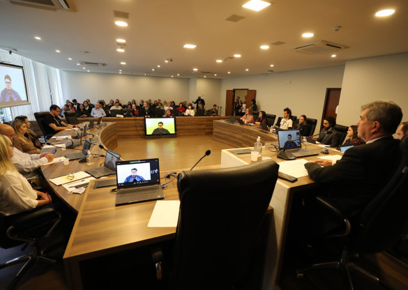 Audiência pública debate importância do diagnóstico precoce em crianças com autismo