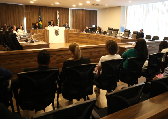 Assembleia Legislativa debate ações integradas para fortalecer políticas de enfrentamento à violência contra a mulher no Paraná