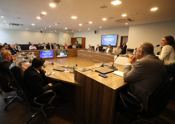 Frente Parlamentar debate impactos da guerra no Oriente Médio e a necessidade de transição energética no Paraná