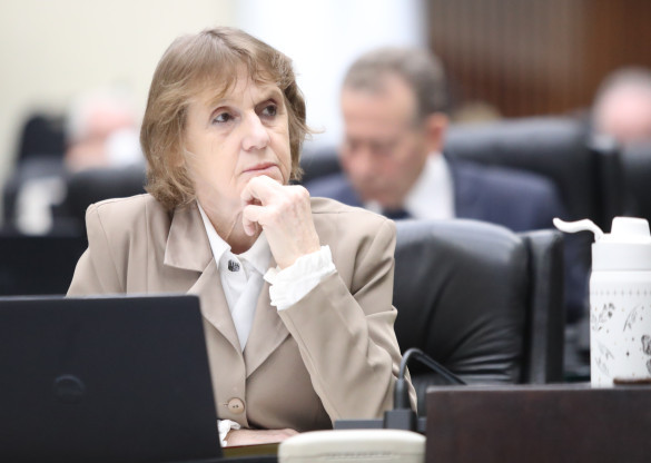 Deputada Luciana Rafagnin (PT) propõe criação de grupo de deputados para discutir com o MEC os impactos do novo decreto da Educação Especial