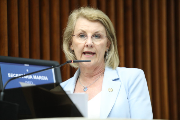 No Dia pela Eliminação da Violência Contra Mulheres, deputada Secretária Márcia (PSD) alerta sobre desafios para diminuir problema