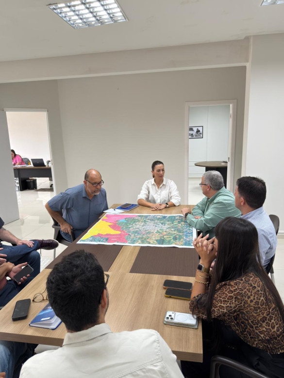 Deputada Mabel Canto (PP) se reúne com diretor-presidente de concessionária para discutir proposta de contorno rodoviário para Ponta Grossa