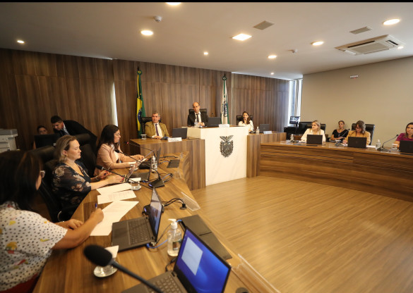 Assembleia debate políticas públicas para crianças e adolescentes com altas habilidades ou superdotação
