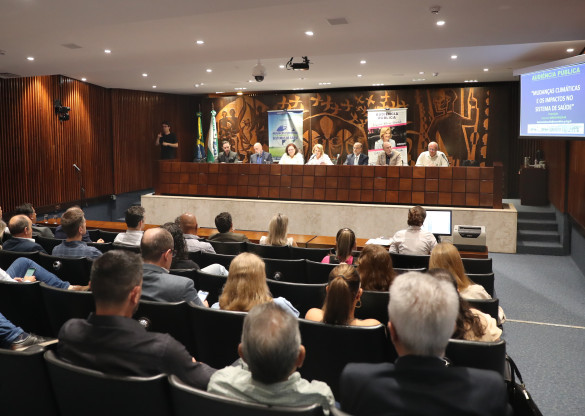 Audiência alerta para aumento de mortes e doenças relacionadas às mudanças climáticas