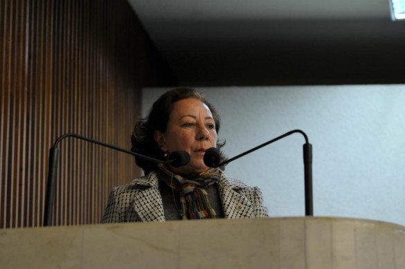 Deputados manifestam apoio às reivindicações das APAEs